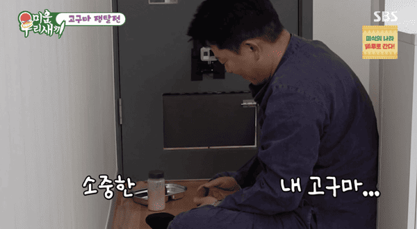 SBS '미운 우리 새끼'