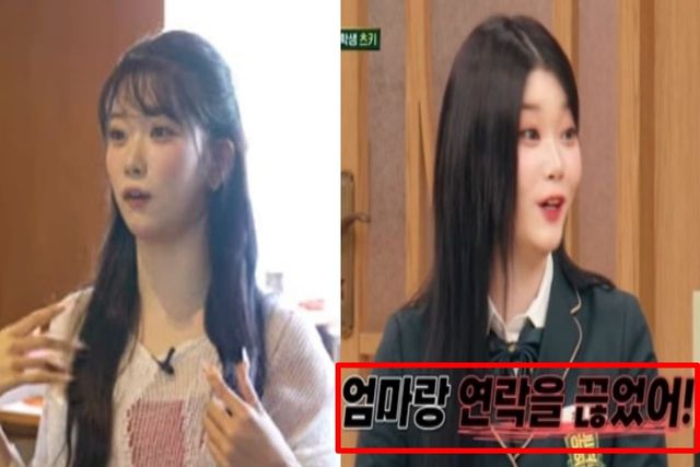 출처:유튜브 채널 '동네친구 강나미'(좌) / JTBC 예능 '아는 외고'(우)