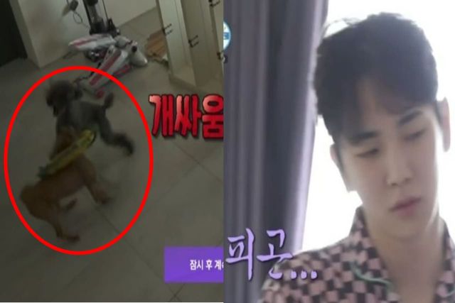 출처:MBC 예능 '나 혼자 산다'