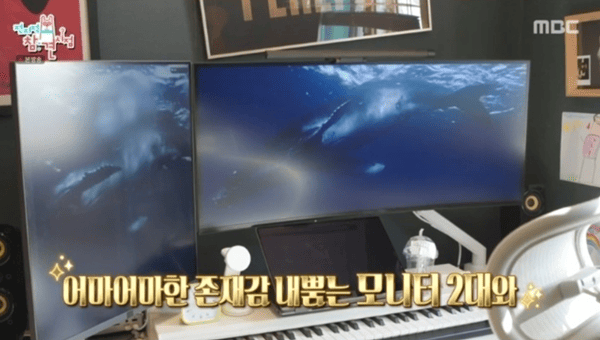 MBC '전지적 참견 시점'