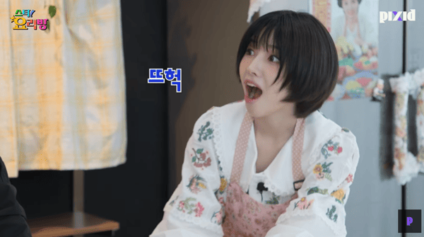 유튜브 '픽시드'