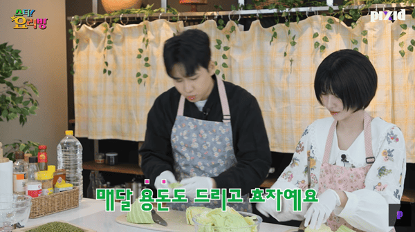 유튜브 '픽시드'