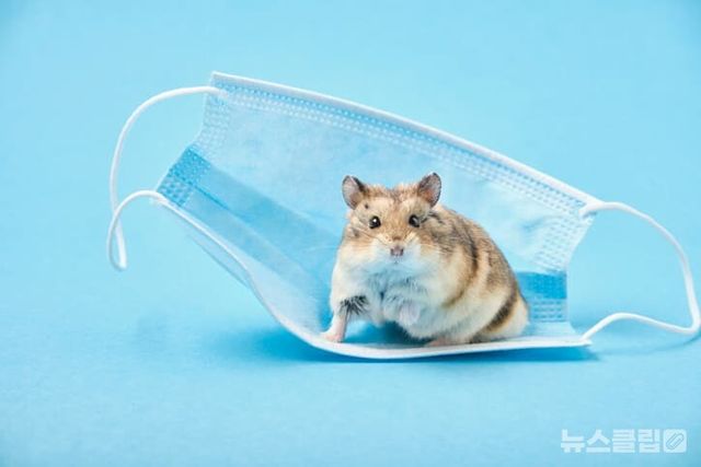 ⓒ게티이미지뱅크(방귀)