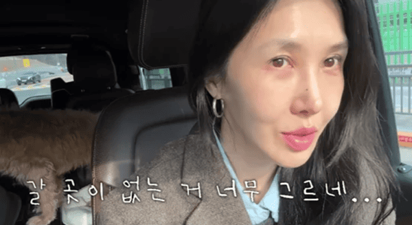 유튜브 '윤혜진의 What see TV'