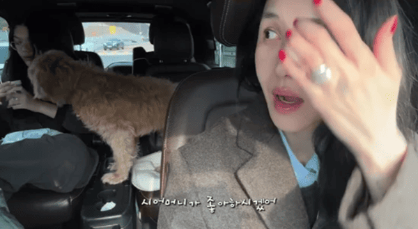 유튜브 '윤혜진의 What see TV'