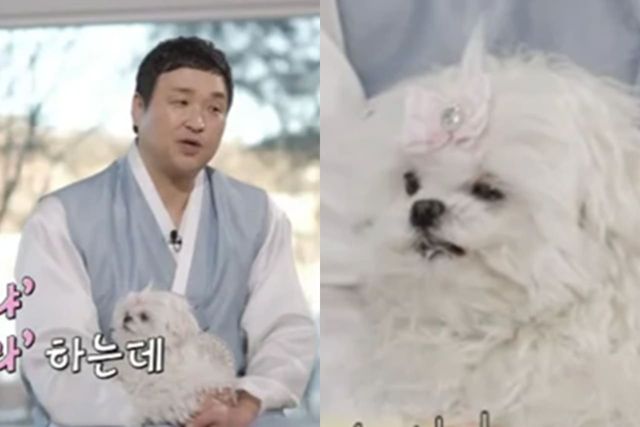 tvN '유 퀴즈 온 더 블럭'