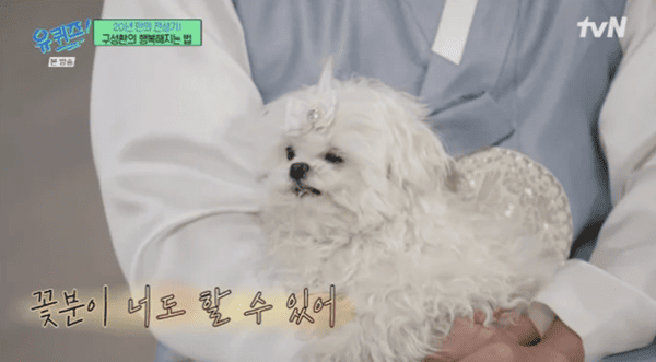 tvN '유 퀴즈 온 더 블럭'