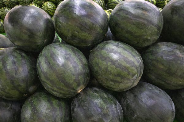 ⓒ게티이미지뱅크(무등산)