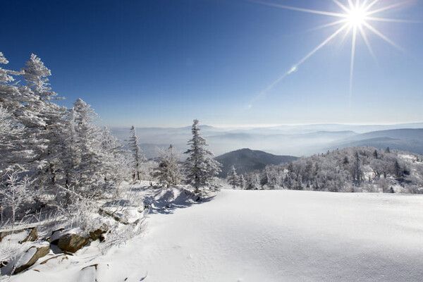 ⓒ게티이미지뱅크(스키장)