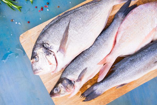 ⓒ게티이미지뱅크(민물고기)