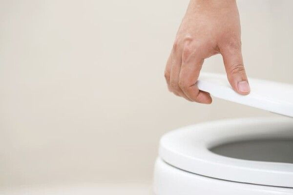 ⓒ게티이미지뱅크(변기)