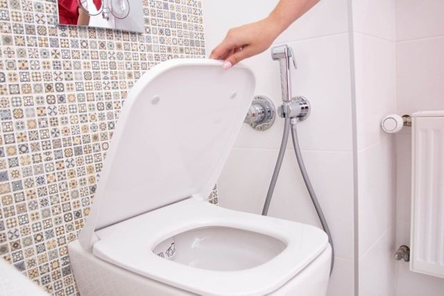 ⓒ게티이미지뱅크(변기)