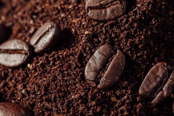 ⓒ게티이미지뱅크(커피 찌꺼기)