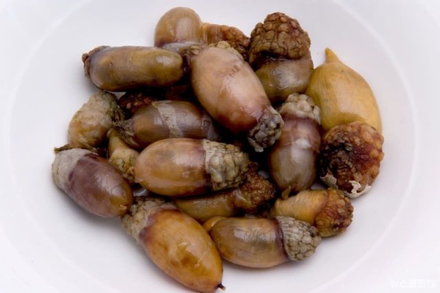 ⓒ게티이미지뱅크(미더덕)