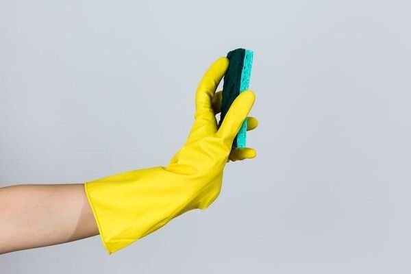 ⓒ게티이미지뱅크(수세미)