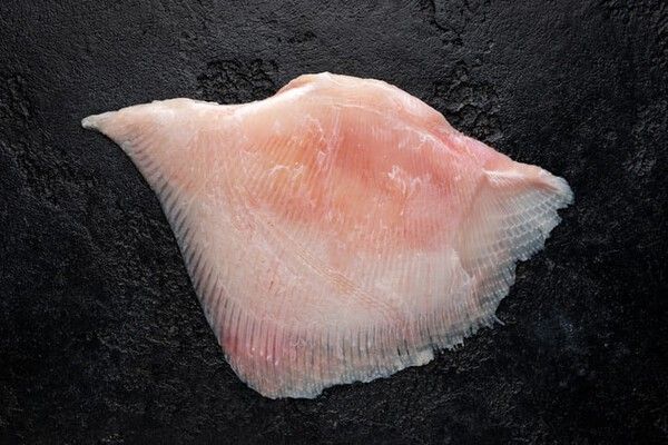 ⓒ게티이미지뱅크(홍어)