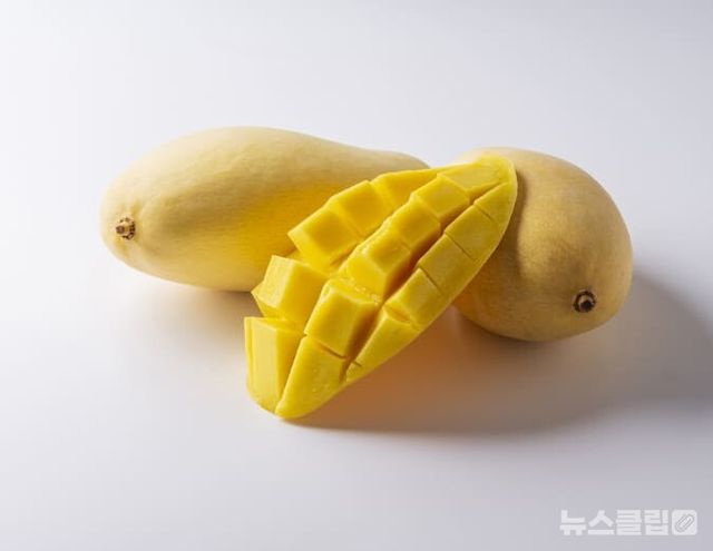 ⓒ게티이미지뱅크(망고)