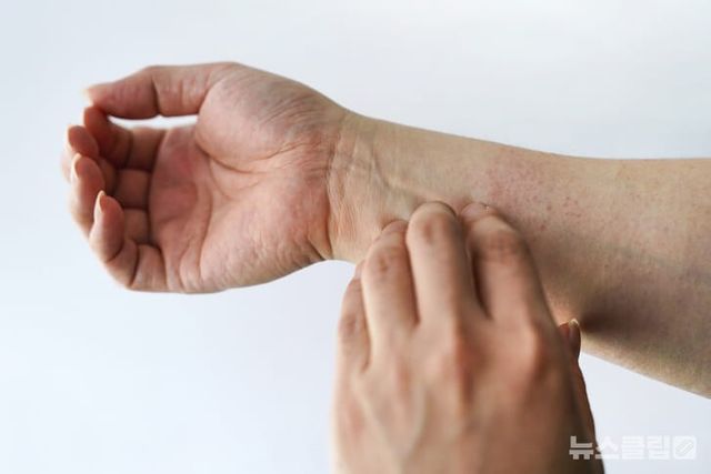 ⓒ게티이미지뱅크(망고)