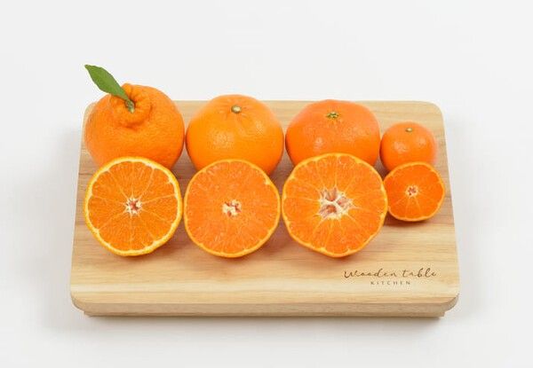 ⓒ게티이미지뱅크(한라봉)