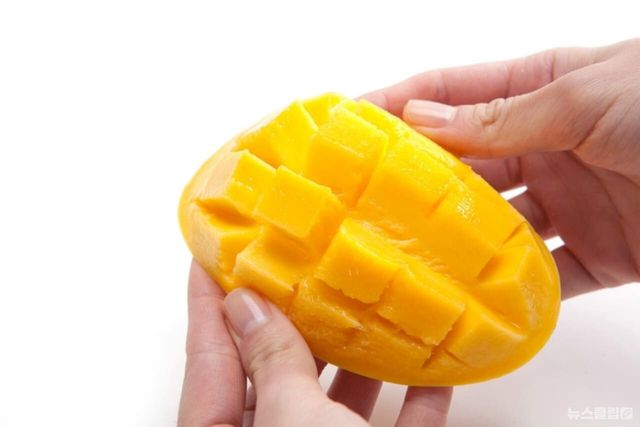 ⓒ게티이미지뱅크(망고)