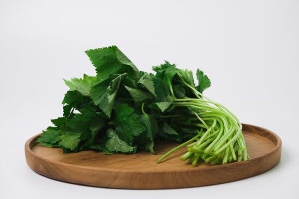 ⓒ게티이미지뱅크(참나물)