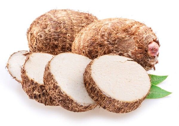 ⓒ게티이미지뱅크(토란)