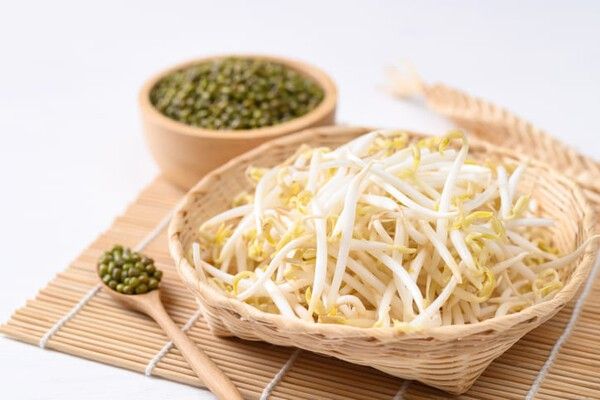 ⓒ게티이미지뱅크(콩나물)