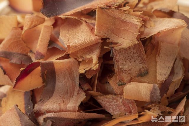 ⓒ게티이미지뱅크(가쓰오부시)