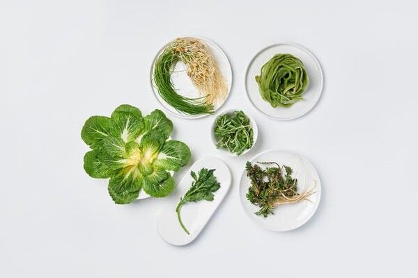 ⓒ게티이미지뱅크(달래)