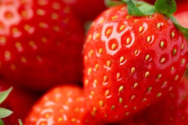 ⓒ게티이미지뱅크(딸기)