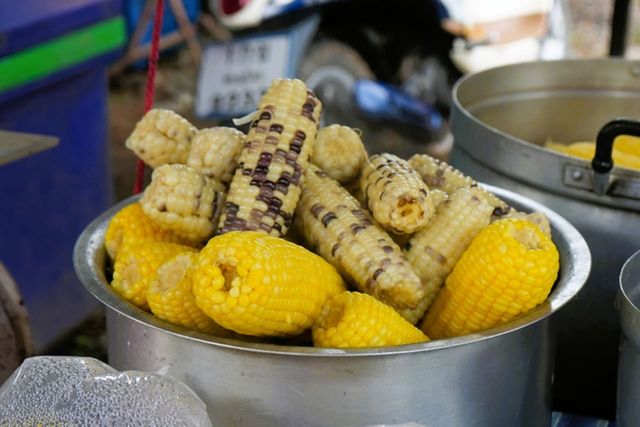 ⓒ게티이미지뱅크(옥수수)