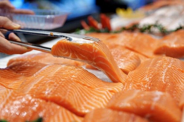 ⓒ게티이미지뱅크(연어)