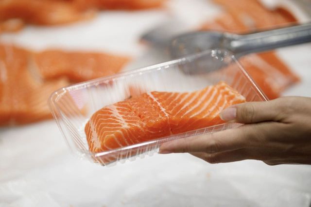 ⓒ게티이미지뱅크(연어)