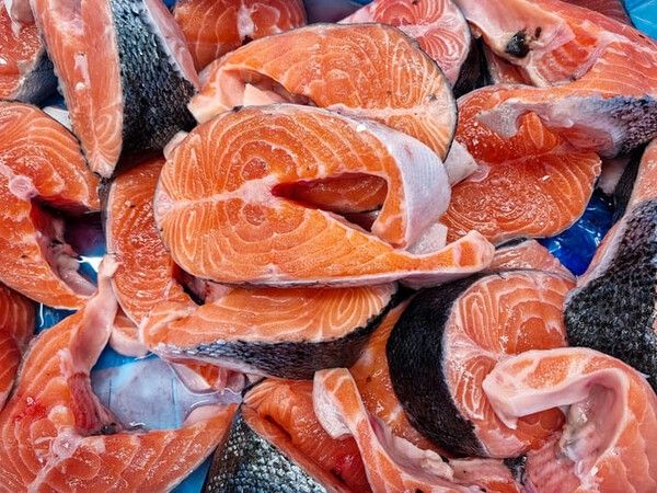 ⓒ게티이미지뱅크(연어)