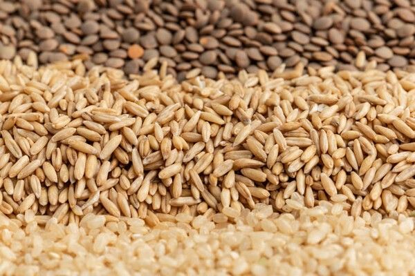 ⓒ게티이미지뱅크(잡곡밥)