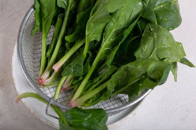 ⓒ게티이미지뱅크(시금치)