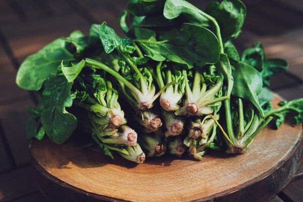 ⓒ게티이미지뱅크(시금치)