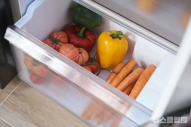 ⓒ게티이미지뱅크(냉장고)