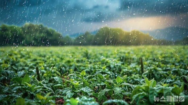 ⓒ게티이미지뱅크(비)