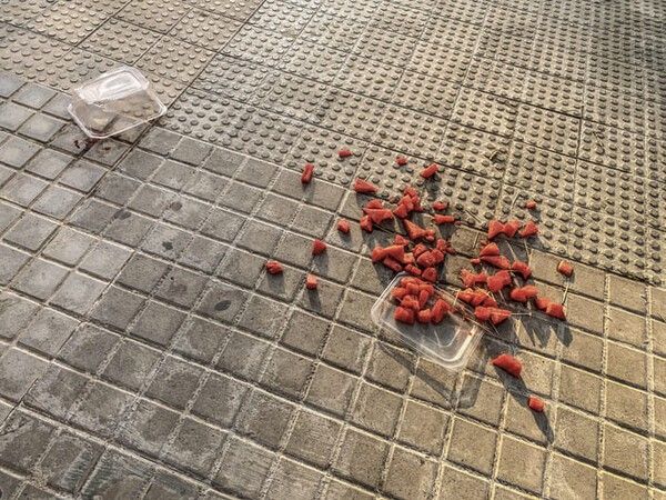 ⓒ게티이미지뱅크(떨어진 음식)