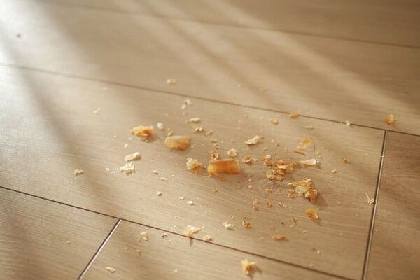 ⓒ게티이미지뱅크(떨어진 음식)