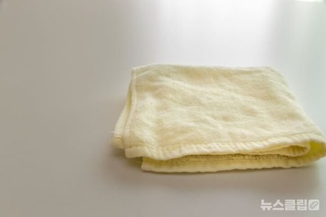 ⓒ게티이미지뱅크(행주)