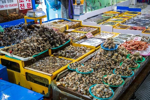 ⓒ게티이미지뱅크(골뱅이)