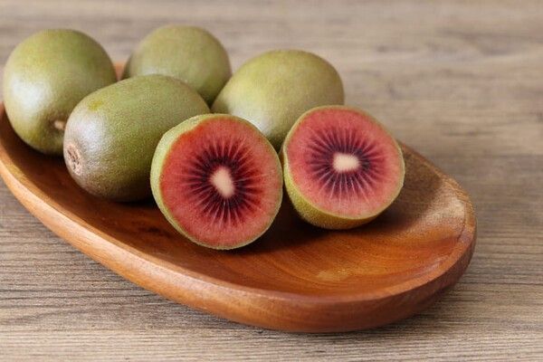 ⓒ게티이미지뱅크(붉은 키위)