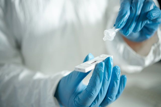 ⓒ게티이미지뱅크(코로나)