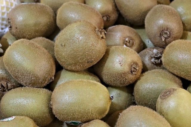 ⓒ게티이미지뱅크(붉은 키위)