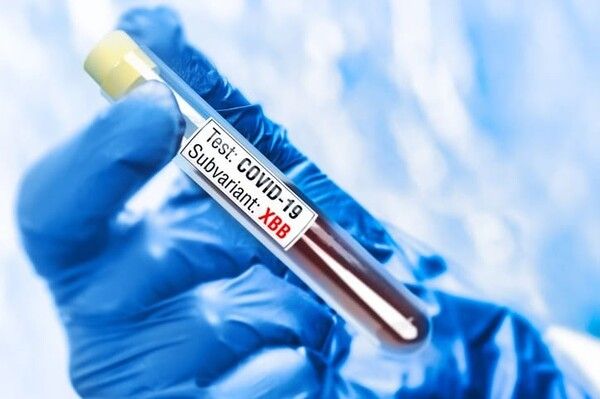 ⓒ게티이미지뱅크(코로나)