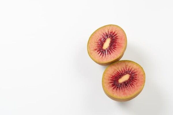 ⓒ게티이미지뱅크(붉은 키위)