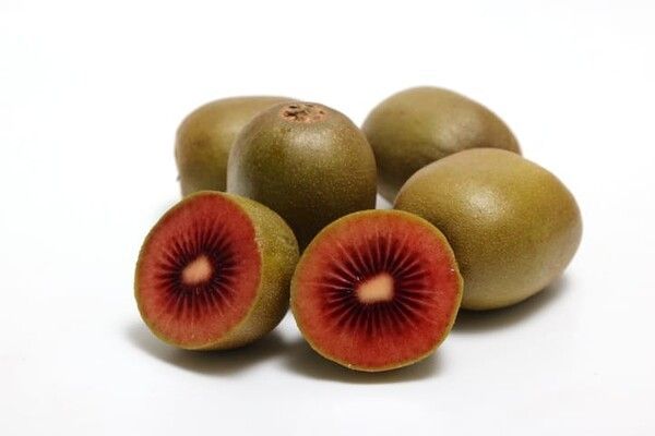 ⓒ게티이미지뱅크(붉은 키위)