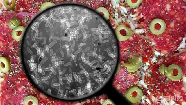 ⓒ게티이미지뱅크(수세미)